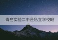 青岛实验二中是私立学校吗(青岛实验中学和实验二中哪个好)