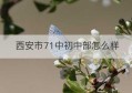 西安市71中初中部怎么样(西安71中学初中部好不好)