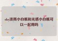 olay淡斑小白瓶和光感小白瓶可以一起用吗