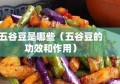 五谷豆是哪些（五谷豆的功效和作用）