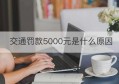 交通罚款5000元是什么原因(最新交通法规扣分及罚款)