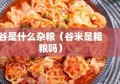 谷是什么杂粮（谷米是粗粮吗）