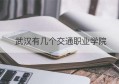 武汉有几个交通职业学院(武汉交通职业技术学院士官学院)