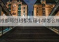 成都师范银都紫藤小学怎么样(银都紫藤小学教学质量如何)