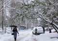 大雪节气与生产生活的关系(大雪节气与生产生活的关系是)