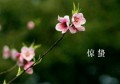 惊蛰可以去上坟吗(不年不节的可以去上坟吗)