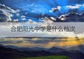 合肥阳光中学是什么档次(合肥阳光中学是初中还是高中)