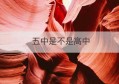 五中是不是高中(五中属于什么学校)