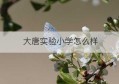 大唐实验小学怎么样