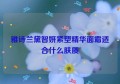 雅诗兰黛智妍紧塑精华面霜适合什么肤质