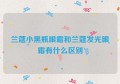 兰蔻小黑瓶眼霜和兰蔻发光眼霜有什么区别