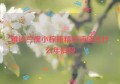 雅诗兰黛小棕瓶精华液适合什么年龄段