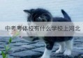 中考考体校有什么学校上河北(河北中考体育特长加多少分)