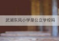 武湖东风小学是公立学校吗(武湖东风小学怎么样)