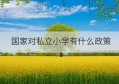 国家对私立小学有什么政策(国家关于小学体育政策)