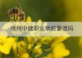 徐州中健职业学校靠谱吗(徐州中健中等职业学校官网)