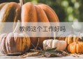 教师这个工作好吗(教师个人工作总结)