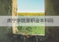 南宁学院是职业本科吗(高等职业教育本科是什么意思)