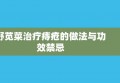 野苋菜治疗痔疮的做法与功效禁忌