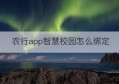 农行app智慧校园怎么绑定(农行智慧校园手机号信息不正确)