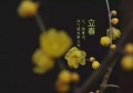 立春后还能进补吗(立春后为什么不能再进补)