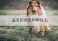 临汾的尧乡中学好么