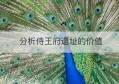 分析侍王府遗址的价值(侍王府三绝)