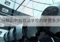 马鞍山中加双语学校的学费多少(马鞍山中加双语学校官网)