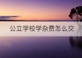 公立学校学杂费怎么交(公立学校收的学费归哪)