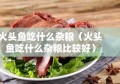 火头鱼吃什么杂粮（火头鱼吃什么杂粮比较好）