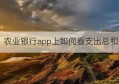 农业银行app上如何看支出总和(农业银行掌上银行app)