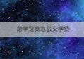 助学贷款怎么交学费