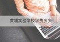 黄埔实验学校学费多少(湖南师范大学黄埔实验学校官网)