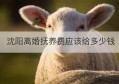 沈阳离婚抚养费应该给多少钱(沈阳离婚子女抚养费)