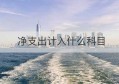 净支出计入什么科目(非税支出计入什么科目)