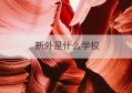 新外是什么学校(成都盐外芙蓉学校官网)