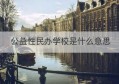 公益性民办学校是什么意思(公办学校和民办学校是什么意思)