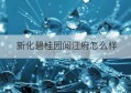 新化碧桂园阅江府怎么样(新化县碧桂园阅江府)