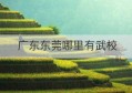 广东东莞哪里有武校(广东东莞南城区属于哪个镇)