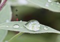 谷雨节气的注意事项(谷雨节气的饮食养生)