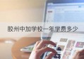 胶州中加学校一年学费多少(麓山中加学校学费多少)