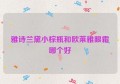 雅诗兰黛小棕瓶和欧莱雅眼霜哪个好