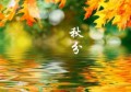 秋分是哪个季节的节气(秋分季节节气习俗)