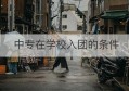 中专在学校入团的条件(中专入团有用吗)