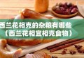 西兰花相克的杂粮有哪些（西兰花相宜相克食物）