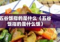 五谷饭指的是什么（五谷饭指的是什么饭）