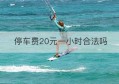 停车费20元一小时合法吗(国金停车费多少钱一小时)