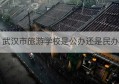 武汉市旅游学校是公办还是民办