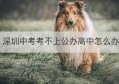 深圳中考考不上公办高中怎么办