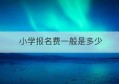 小学报名费一般是多少(小学教师资格证报名费多少)